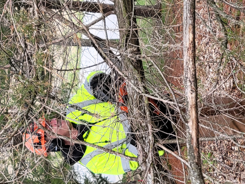/pictures/Trail Maintenance 2021/20210418_082759.jpg